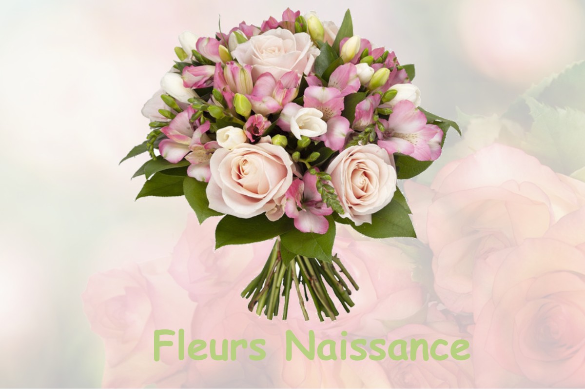 fleurs naissance SAINT-PIERRE-DU-LOROUER